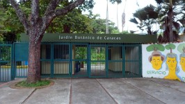 Instituto Botánico de Venezuela