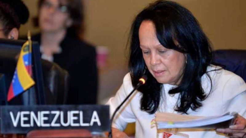 La embajadora alterna de Venezuela ante la Organización de Estados Americanos (OEA), Carmen Luisa Velásquez