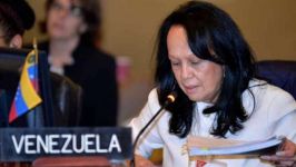 La embajadora alterna de Venezuela ante la Organización de Estados Americanos (OEA), Carmen Luisa Velásquez