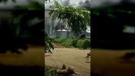 Según reportan medios locales, los trabajadores y las instalaciones de la empresas de alimentos Cargill fue atacadapor terroristas