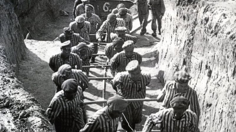 El número estimado de los prisioneros que pasaron por todos los subcampos es 335 mil