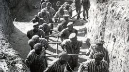 El número estimado de los prisioneros que pasaron por todos los subcampos es 335 mil