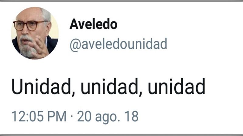 Ramón Guillermo Aveledo