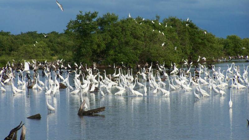 Hoy a 35 años de su declaración como Parque Nacional, esta belleza natural sigue siendo referencia del potencial turístico de Venezuela