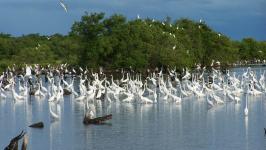 Hoy a 35 años de su declaración como Parque Nacional, esta belleza natural sigue siendo referencia del potencial turístico de Venezuela