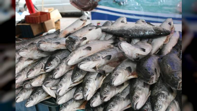 Descubra cu ntos kilos de pescado se vendieron en la Caravana de