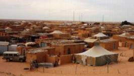 "El Sáhara Occidental, es el territorio del pueblo saharaui, que ha sufrido en los últimos cuarenta años ocupación ilegal y brutal por parte del Reino de Marruecos"