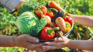 El Día Mundial de la Alimentación fue proclamado en 1979 por la Organización de las Naciones Unidas