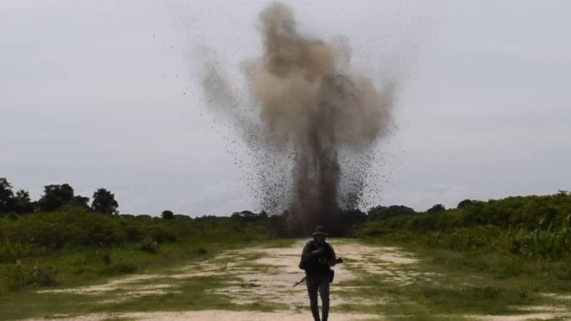 La Fanb no descansa en su lucha contra el narcotráfico y agrupaciones colombianas que pretendan usar nuestro territorio para cometer fechorías
