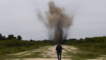 La Fanb no descansa en su lucha contra el narcotráfico y agrupaciones colombianas que pretendan usar nuestro territorio para cometer fechorías
