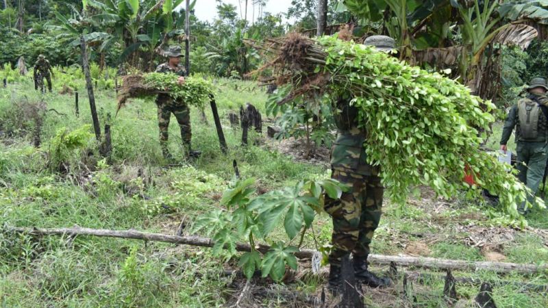 La Fanb no descansa en su lucha contra el narcotráfico y agrupaciones colombianas que pretendan usar nuestro territorio para cometer fechorías