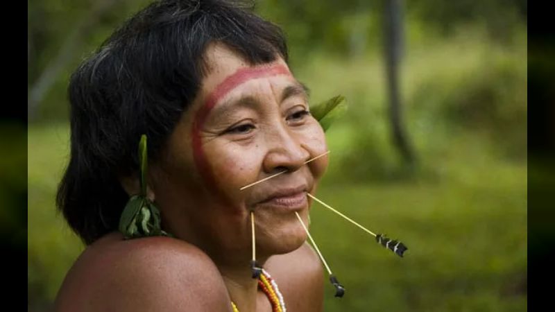 Esto fue un gran logro para la Revolución Bolivariana y el pueblo de Venezuela, ya que permitió revitalizar la tradición oral indígena de un pueblo que tuvo una participación importante durante guerra de Independencia
