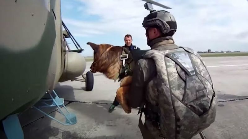 El dispositivo permite a un paracaidista desplegarse con un perro de servicio en lugares donde no es posible aterrizar con una aeronave