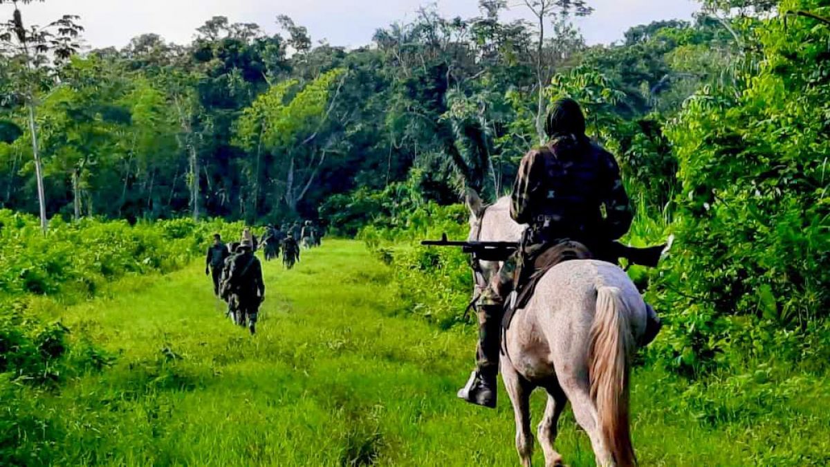 La FANB permanece desplegada en las zonas transfronterizas para expulsar a los grupos delictivos de Colombia