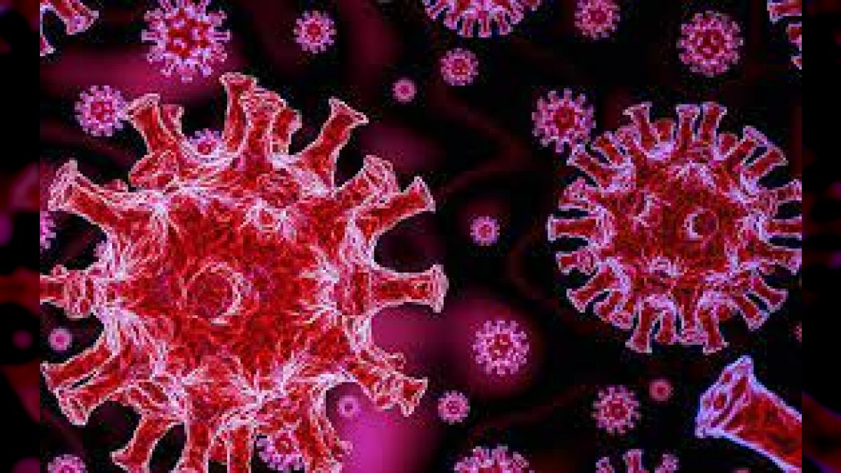 El estudio realizado por las Universidades de Lovaina y Namur detalló que la proteína Spike, que interactúa con el nuevo coronavirus, cuando alcanza al receptor ACE2 se produce el contagio, sin embargo se logró bloquear la enfermedad
