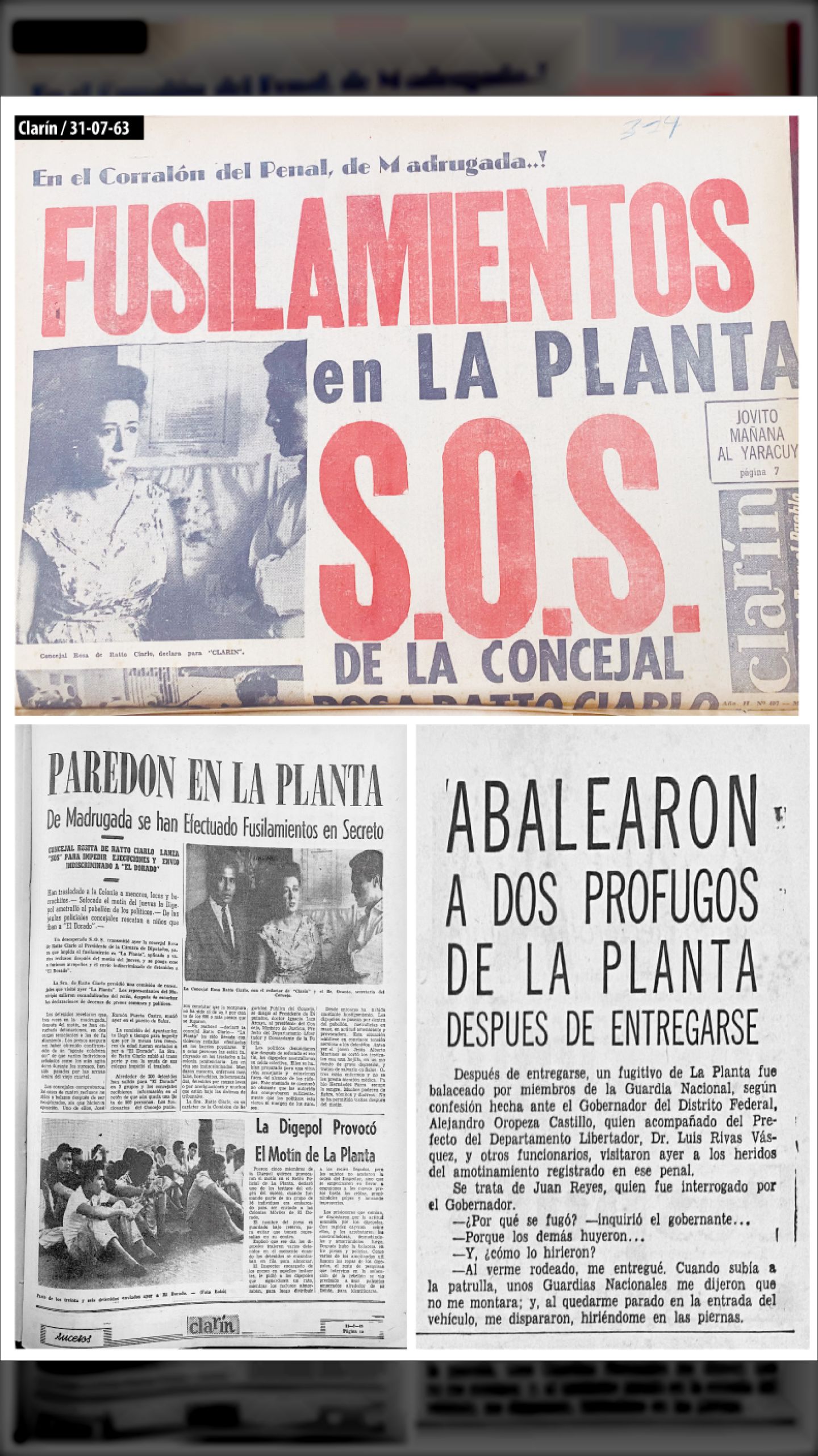 FUSILAMIENTOS EN  “LA PLANTA” (CLARÍN, 31 de agosto 1963)