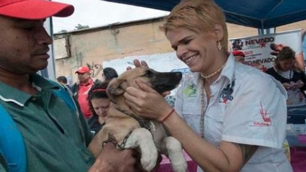 Las mascotas recibieron vacunas y revisión veterinaria