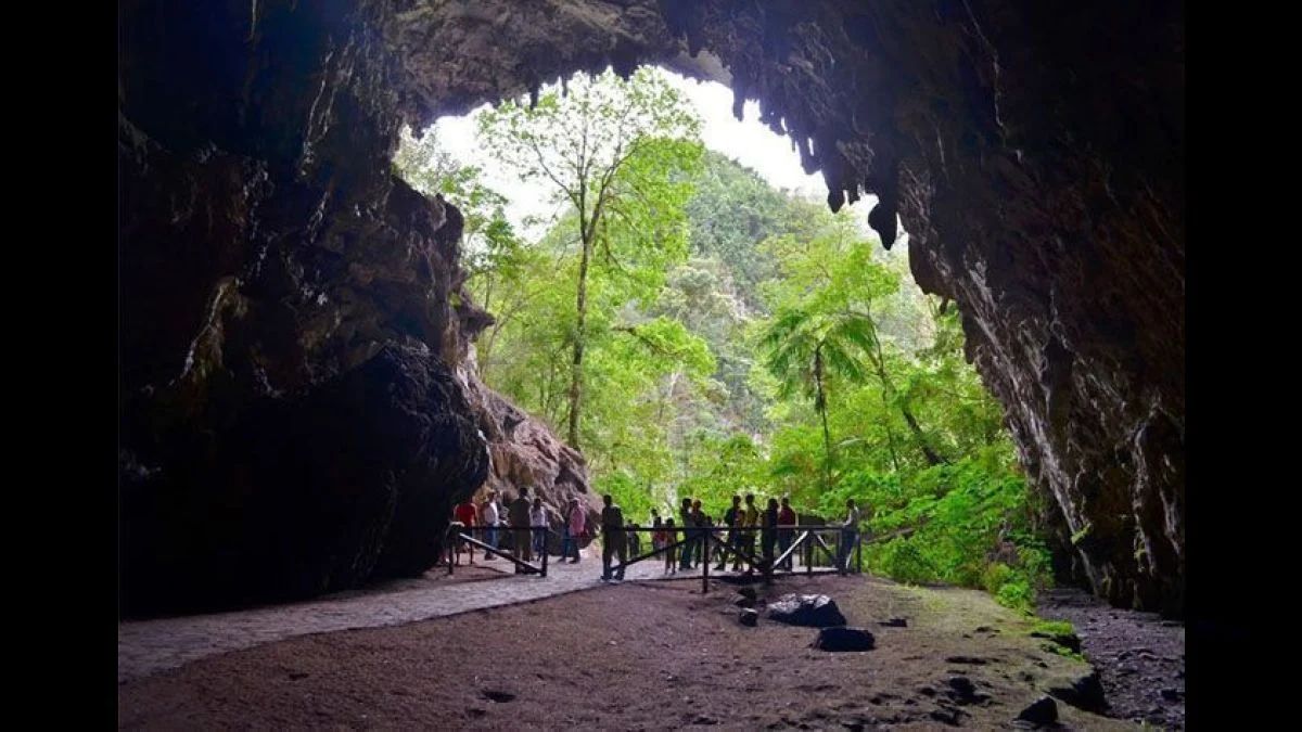 Ofrece a los visitantes un recorrido con deslumbrante bellezas por sus extrañas formaciones en las paredes de la cueva y el griterío de las aves que habitan en el lugar