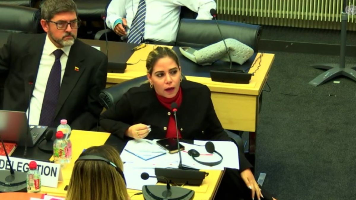 Incodir Gobierno Bolivariano muestra ante la ONU avances en la lucha contra la ...