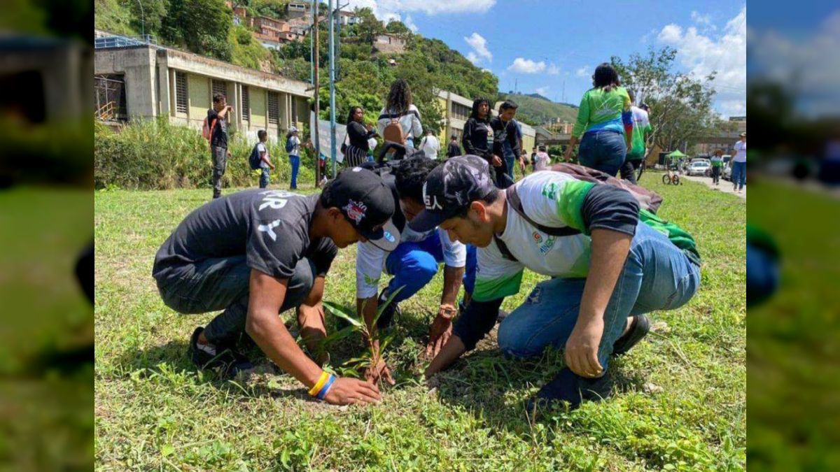 Jornada desarrollada este fin de semana