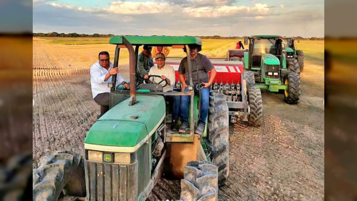 Guárico inició la siembra de arroz del ciclo Norte Verano 20242025