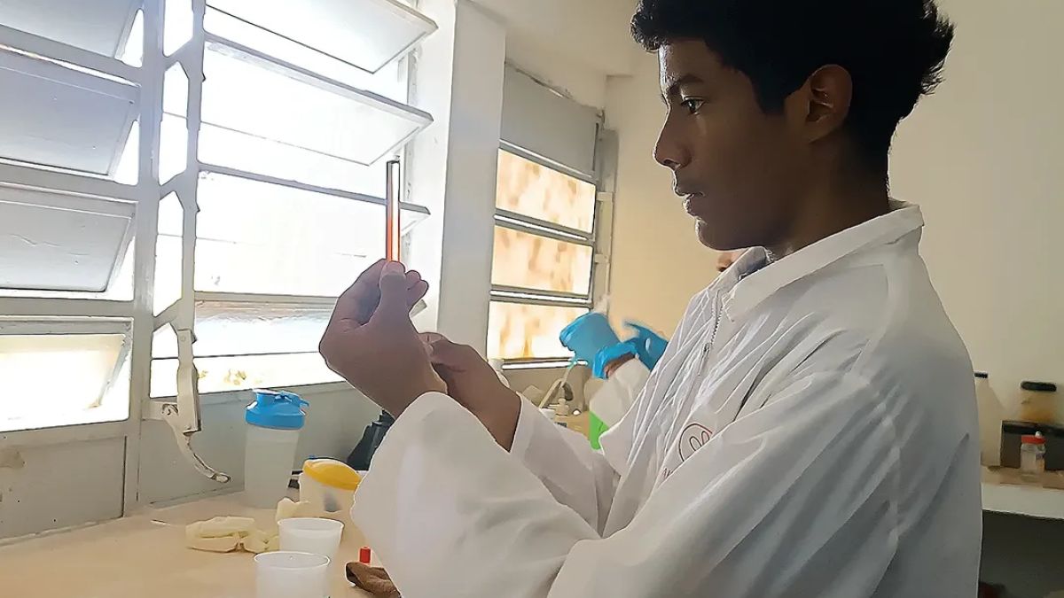 The focus of this initiative is to provide practical experiences that reinforce children's scientific knowledge.