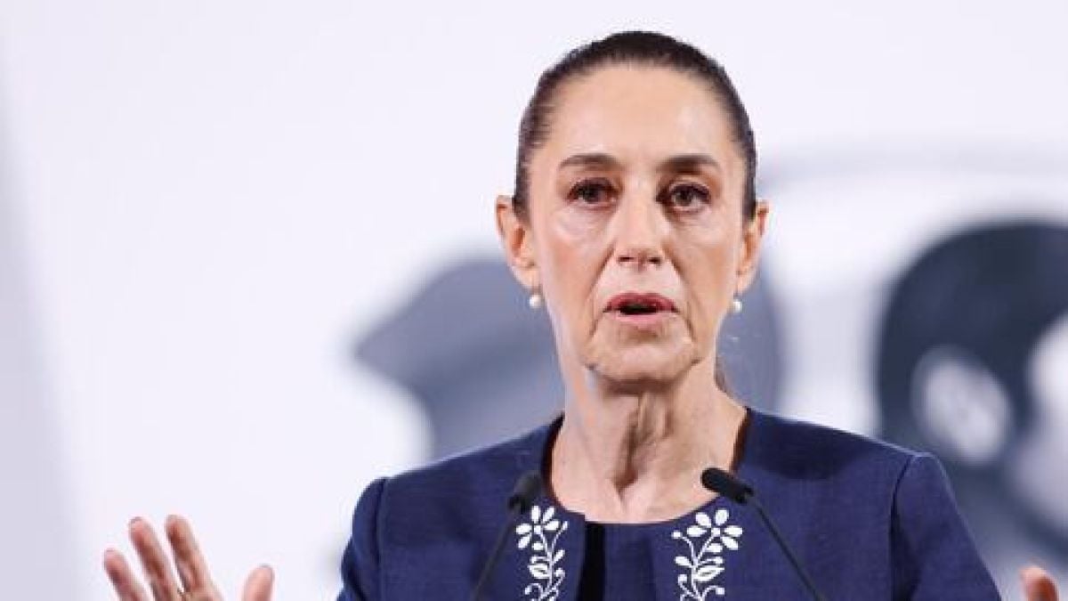 Sheinbaum explained that, during a telephone conversation with his counterpart Donald Trump in April, the US president suggested the entry of his country's army into Mexico as part of a joint strategy against organized crime