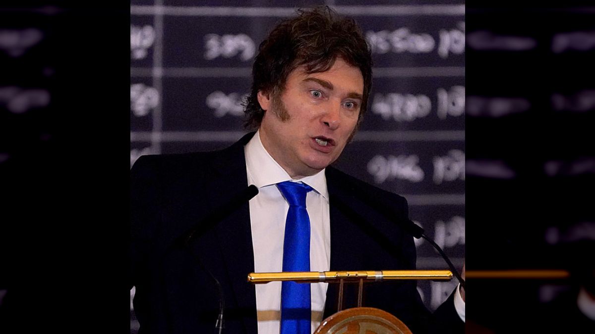 Esta decisión se suma a otras privatizaciones ya realizadas por el gobierno neoliberal de Milei