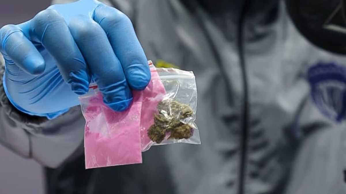 CICPC ha incautadó más de 3 toneladas de drogas en lo que va de 2025
