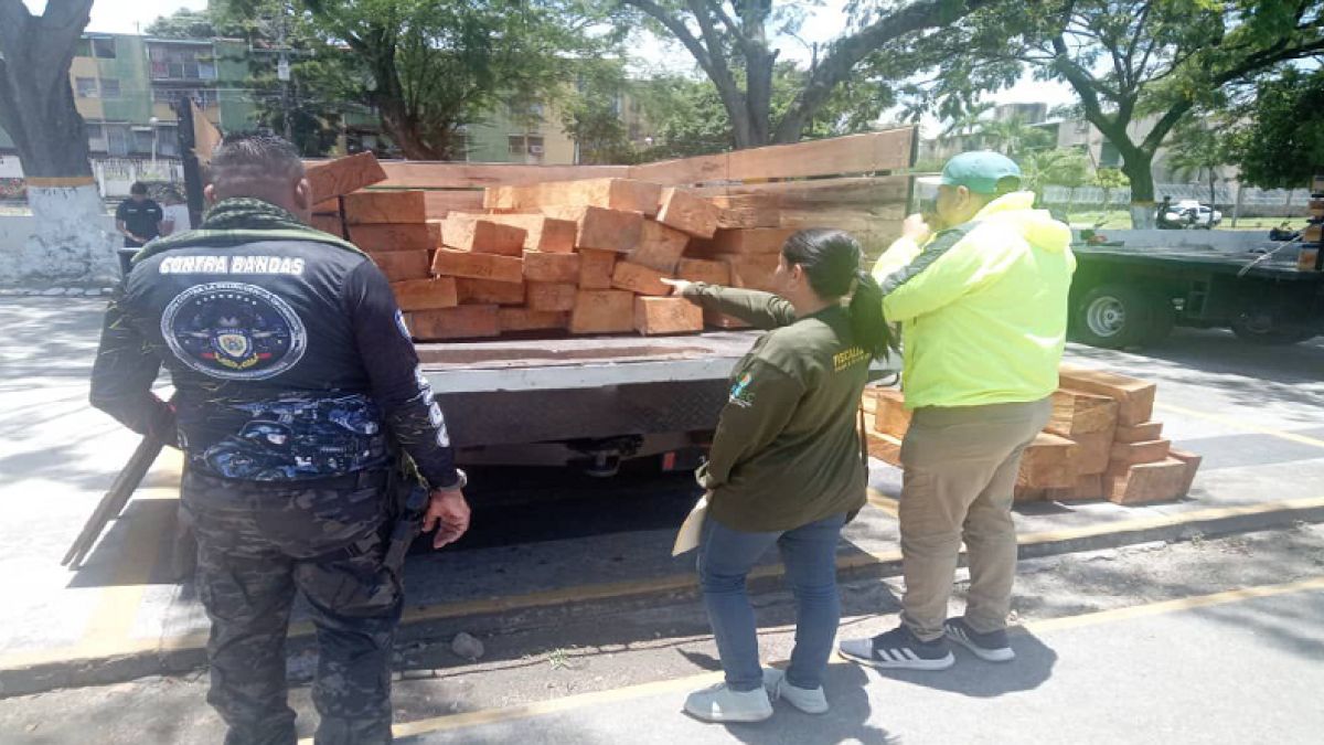 Siete detenidos en la acción policial