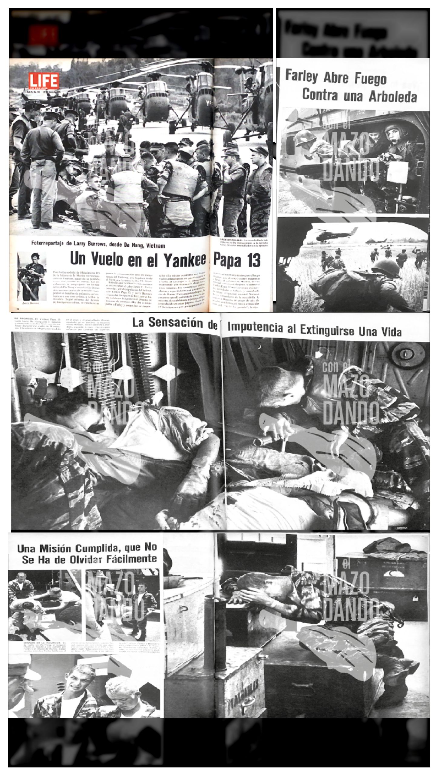 EL SÍNDROME DE VIETNAM: El trastorno de estrés post traumático (TEPT) cobra miles de vidas en EEUU