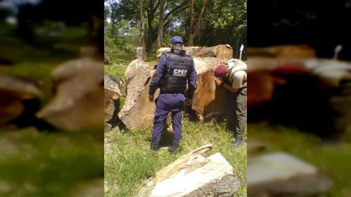 Durante la inspección se elaboraron seis actas administrativas y extendieron citaciones a 42 personas