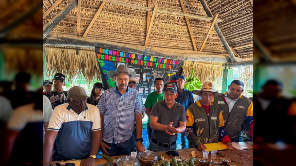 National Government launched a massive plan in Apure to cultivate ...