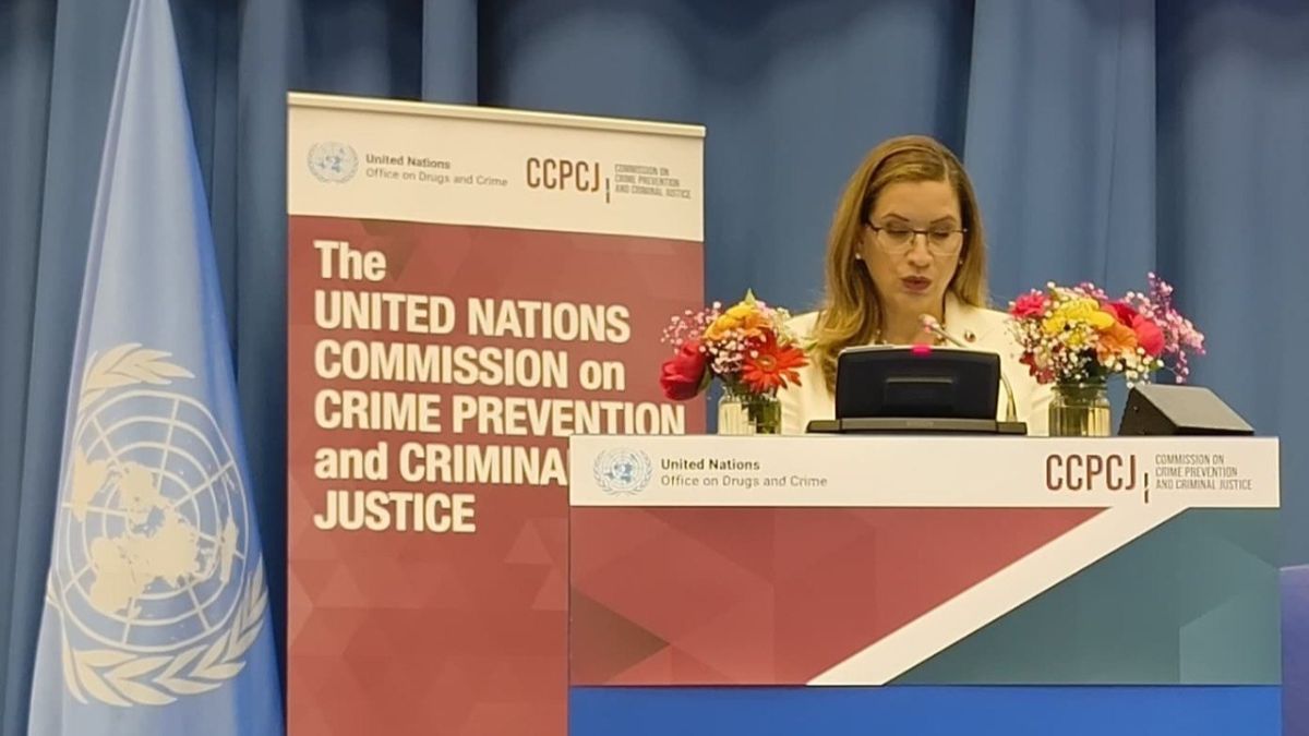 Venezuela presents to the UN Vienna the progress of the National Consultation for Criminal Justice Reform
