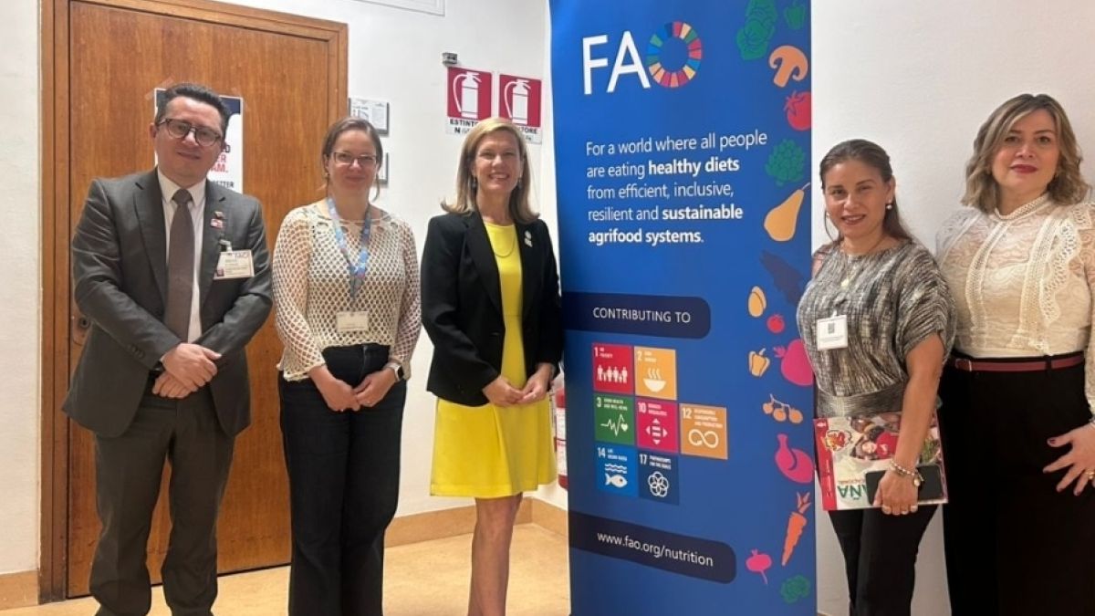 Venezuela shares innovative experiences in nutrition and food statistics with FAO in Rome