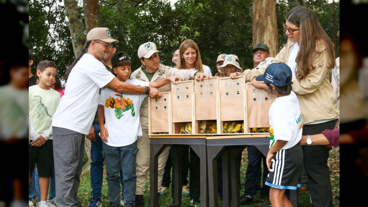 Venezuela exercises environmental sovereignty with the release of 400 birds rescued from illegal traffic