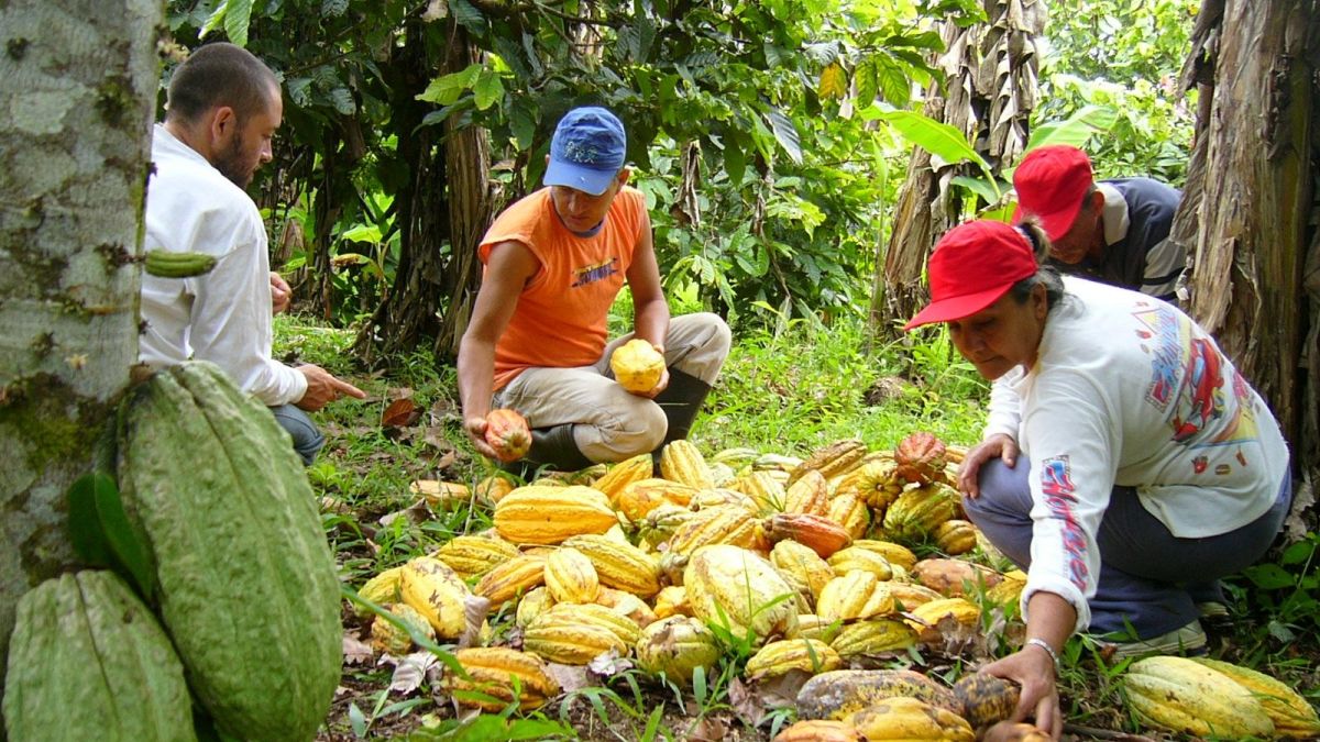 MinCyT allocates 45% of its scientific projects to the agri-food engine