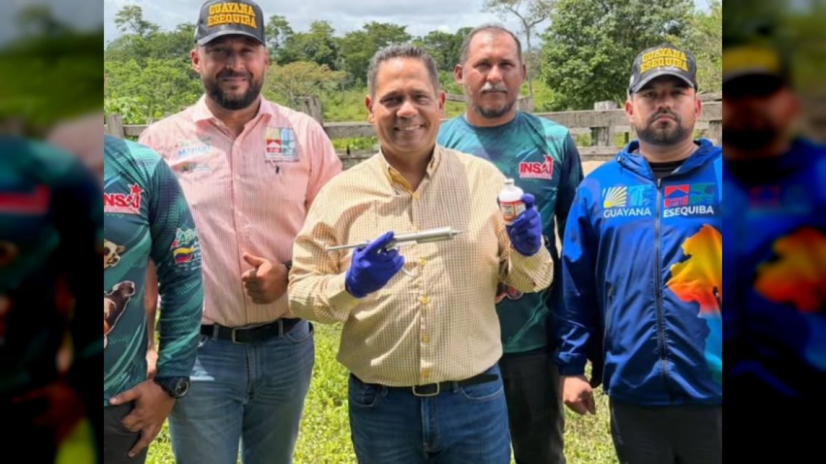 Government of Guyana Esequiba will vaccinate 10,000 cattle against foot-and-mouth disease