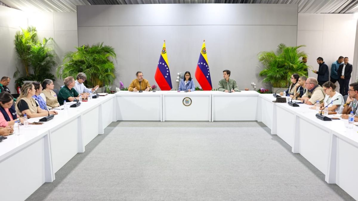 President (E) Delcy Rodríguez received NGOs that provide humanitarian assistance in Venezuela