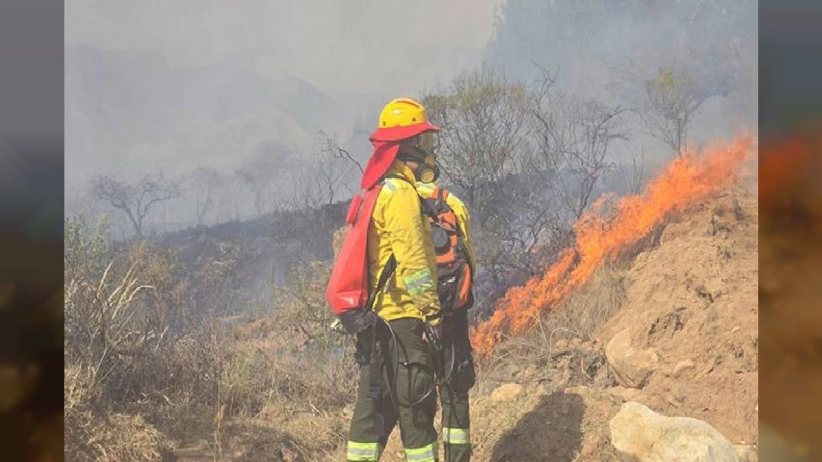 Bolivia declares a state of disaster in San Lorenzo due to forest fires