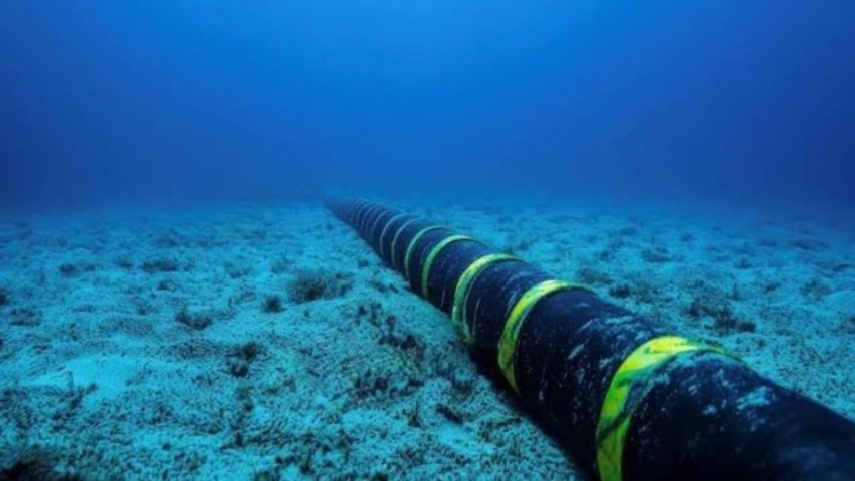 CONATEL announces progress in repairing submarine fiber optic cable affected by earthquakes
