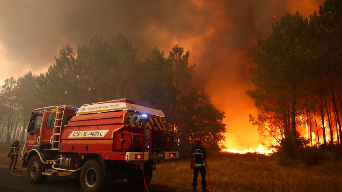 10,000 people evacuated from the Community of Madrid due to forest fires