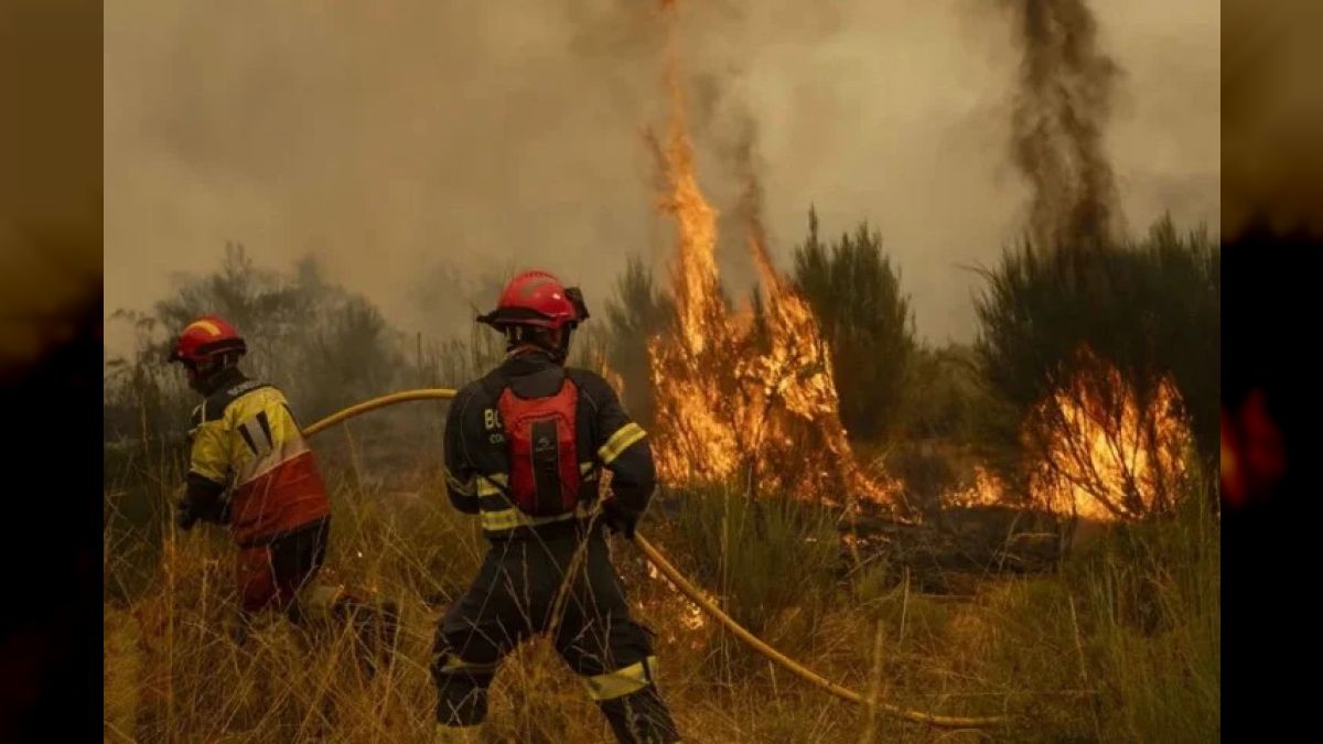 Fires in the south of France leave more than 60,000 evacuated and 50,000 hectares burned