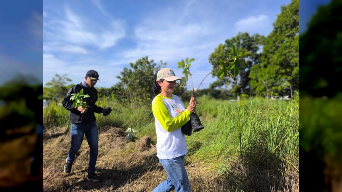 Cataniapo River Commune reforests basins with 250 local species in Amazonas