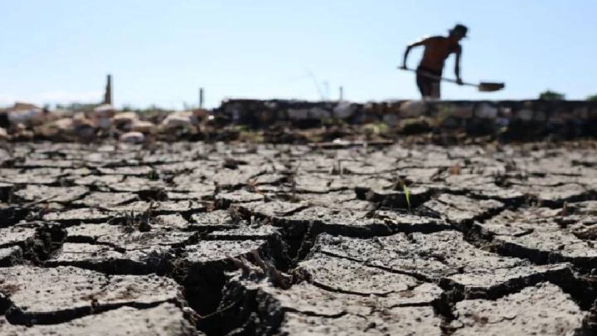 Brazil activates monitoring plan to contain economic impact in the face of El Niño