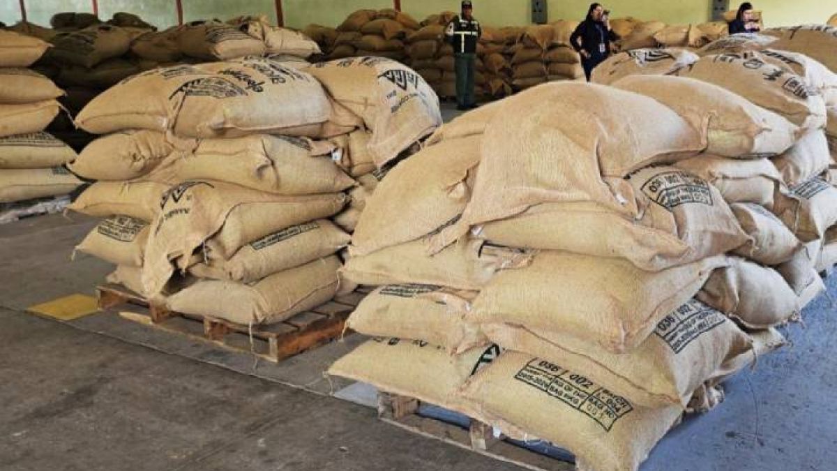 Mérida sends 19.2 tons of coffee to Belgium and exceeds 540 tons exported