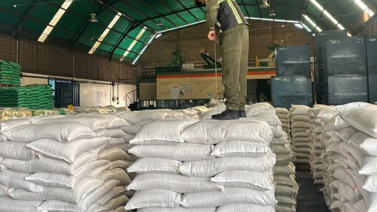 Venezuela exported more than 43 tons of mung beans to France from Lara