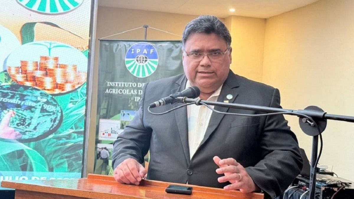 FEDEAGRO: White corn production in Venezuela exceeds one million tons