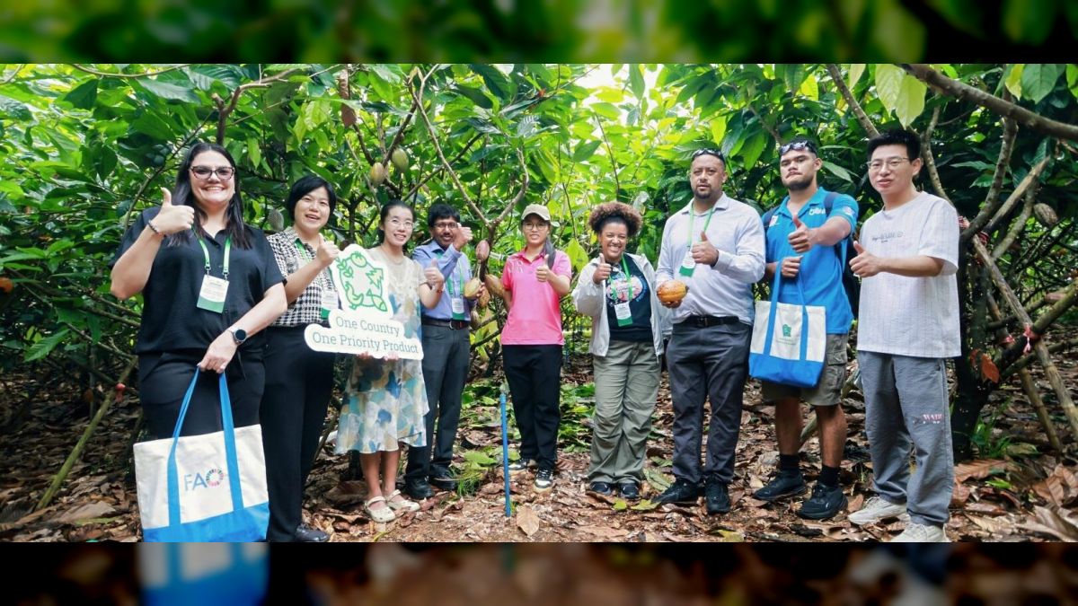 Venezuelan delegation in China consolidates progress in the production of fine aroma cacao