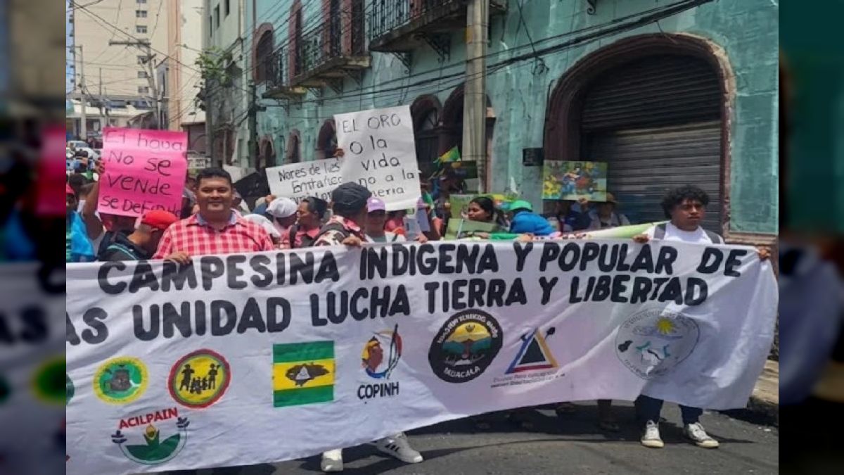 Honduran organizations demand the annulment of the agro-industrial law and stop evictions in ancestral territories